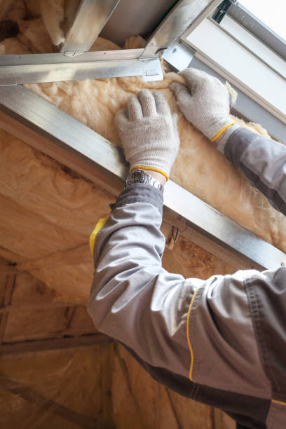 Best Specialized Insulation Services in Hillsboro, WI