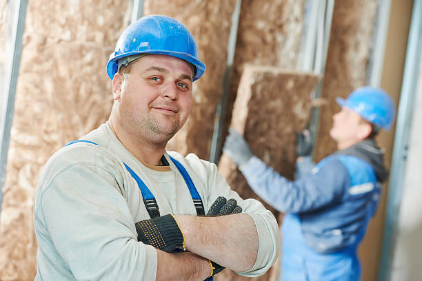 Best Energy Efficiency Insulation in Hillsboro, WI