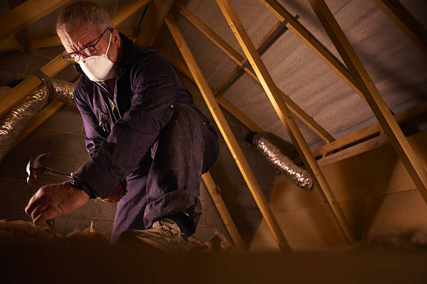 Best Residential Insulation in Hillsboro, WI